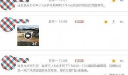 方圆爆料视频大全集最新,揭秘娱乐圈幕后真相