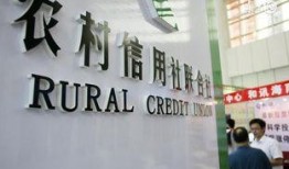 湖北农信社最新爆料,揭秘金融创新与风险防控新举措